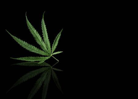Medicinal cannabis with extract oil in a bottle on wooden background, Healthcare concept, Empty space for designの写真素材