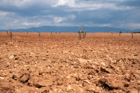 agricultural field with brown soilの写真素材