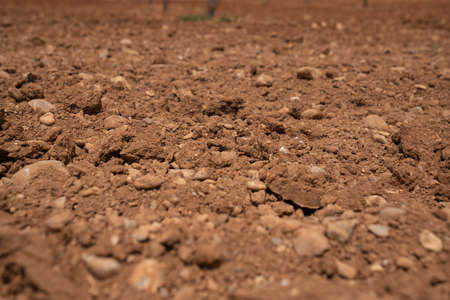 agricultural field with brown soil