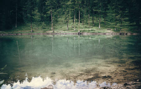 morning on a beautiful lake in deep forest