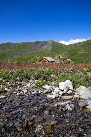 beautiful meadow with a little stream of water and a wooden chalet in background at summer