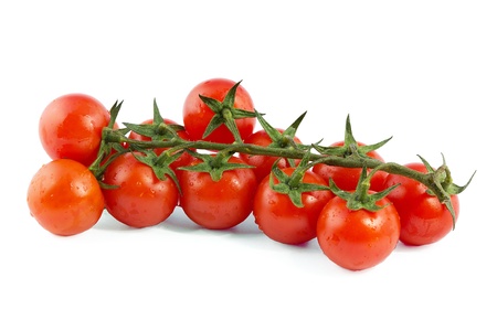 Nine red cherry tomatoes on a green branchの写真素材