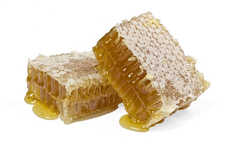 Two pieces of honey comb on a white backgroundの写真素材