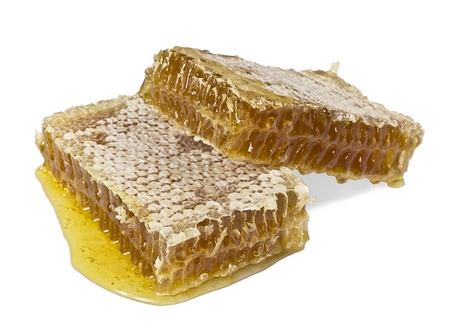 Two pieces of honey comb on a white backgroundの写真素材