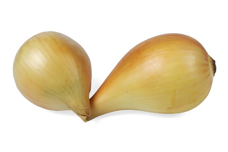 Onion isolated on white background の写真素材