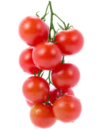 Branch of cherry tomatoes isolated on white background の写真素材