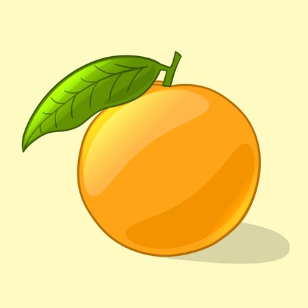 Ripe and juicy orange in cartoon style. Vector Illustrationのイラスト素材
