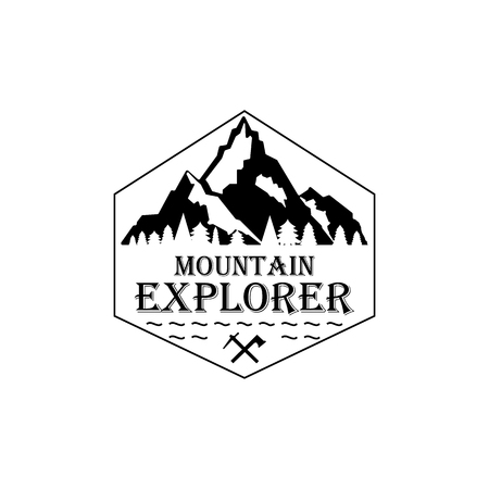 Concept on the white background. Mountain icon with texture.. Vector designのイラスト素材