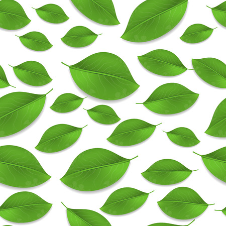 Green realistic leaves seamless pattern. Vector backgroundのイラスト素材
