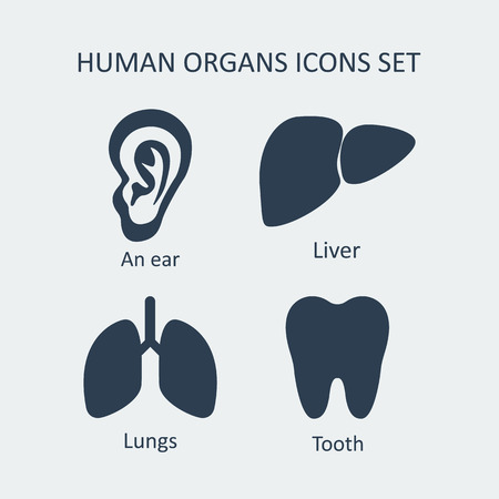 Human organs icons set. Vector illustrationのイラスト素材
