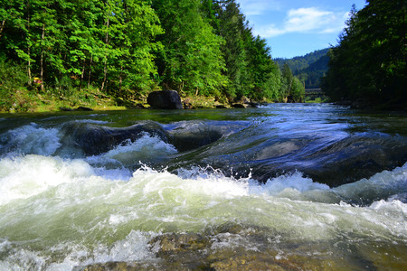 Rapid river is flowing between the stones in Carpathian mountains. Colorful landscape of river,...