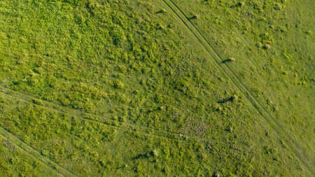 roads cross a green meadow shooting from a drone ukraineの写真素材