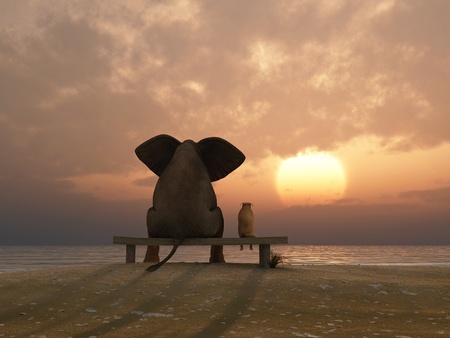 elephant and dog sit on a summer beach elephant and dog sit on a summer beach