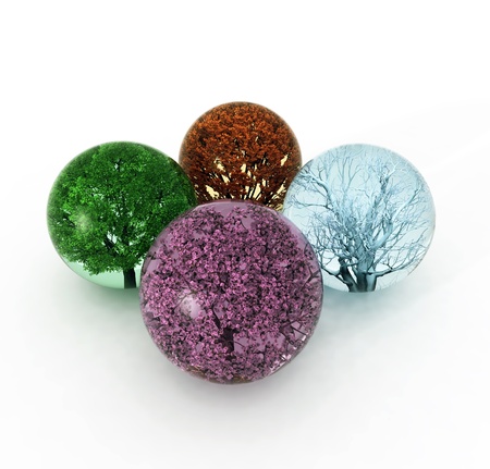 trees of four seasons in the dropsの写真素材