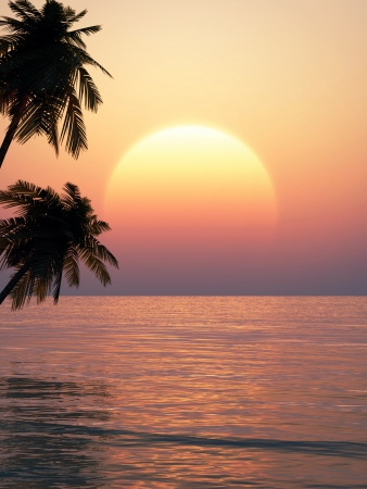 tropical sunset on a beachの写真素材