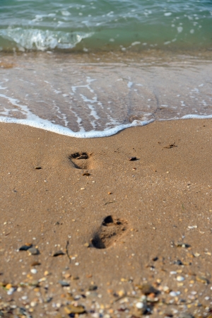 Footprints on the summer beachの写真素材