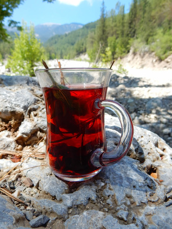 tea from mountain herbsの写真素材