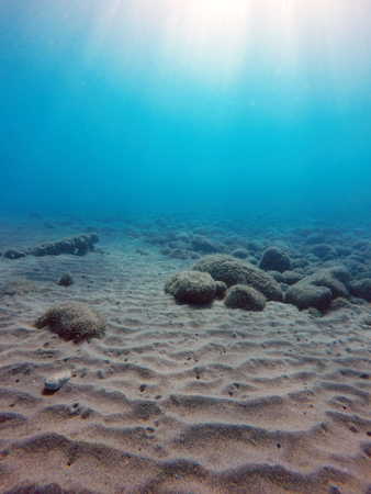 sand dunes on the sea floorの写真素材