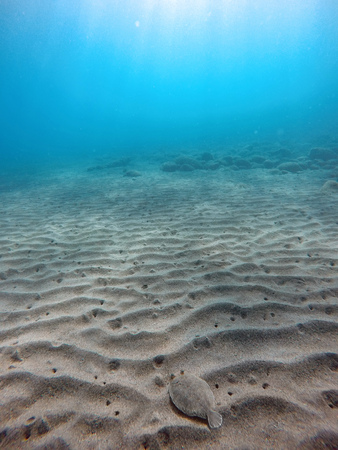 sand dunes on the sea floorの写真素材