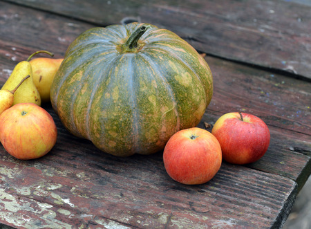 pumpkin, apples, pears on a table in the gardenの写真素材