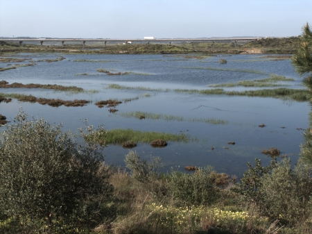 Castro Marim, saltpans. Portugal. Nature reserve by border with Spain. Bridge to Spain in background. March 2010の写真素材