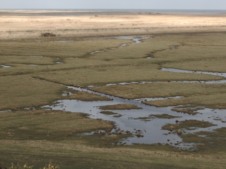 Cley Marshes, North Norfolk, Norfolk Wildlife Trust reserve, UKの写真素材
