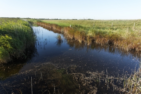 West Canvey Marsh RSPB Reserve, Canvey Island, 
