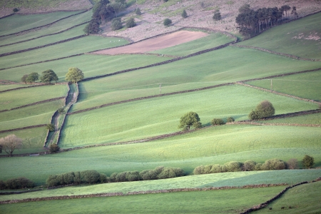 North York Moors National Park near Lealholm