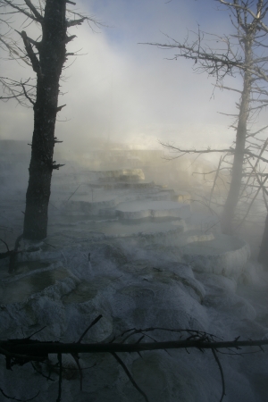 Yellowstone National Park in winterの写真素材