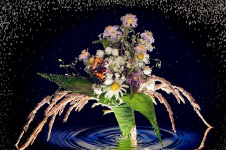 Bunch of wild flowers with butterfly under waterの写真素材