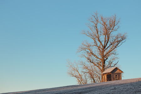 Wooden hut at the top of a hill under a tree at wintertime; copy spaceの写真素材