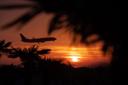 Airplane silhouette over tropical beach at sunset.の写真素材