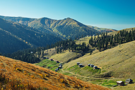 Scenic highland village in Gomis Mta, Georgia, with rustic wooden houses and autumn hues.の写真素材