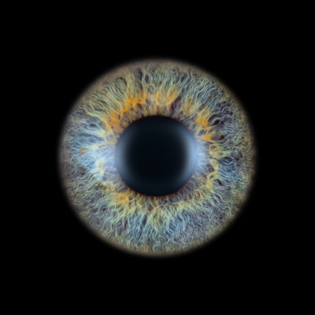 Detailed close-up view reveals the stunning, intricate patterns and colors of an eyeball.の写真素材