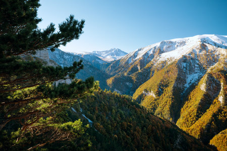Scenic view of snow-covered peaks in the Caucasus, framed by pine branches under a clear blue sky.