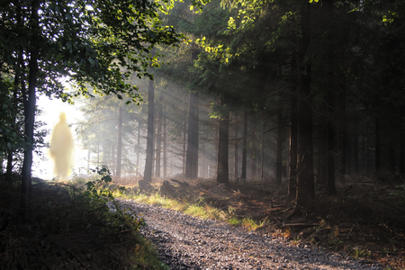 Jesus Christ walking after His resurrection. Figure in sun lights. Sunning shine in forest.の写真素材