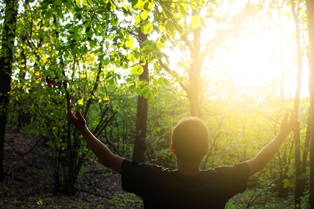 boy worship God with hands up in forest. Nature background