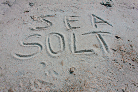 Solt sea on the beach in Israelの写真素材