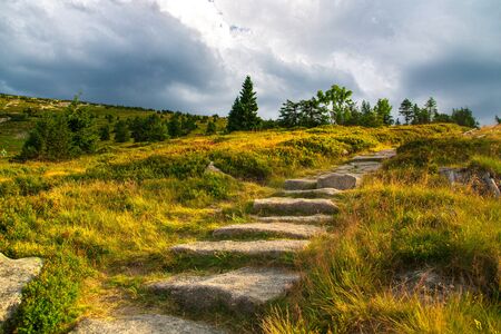 Green Meadow In Mountain with blue sky viewの写真素材