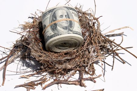 nest eggの写真素材