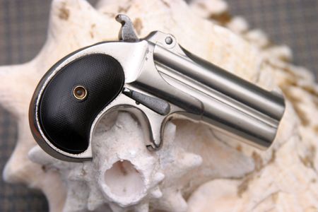 Circa 1889, Model 95, Type II Model 3 Double Derringer on a conch shell showing its true small sizeの写真素材