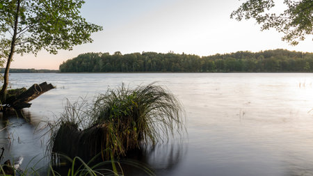 landscape with lake shore in the early morning, tree branches, grass and reeds, long-term exposure, flooded water, autumn time in natureの写真素材