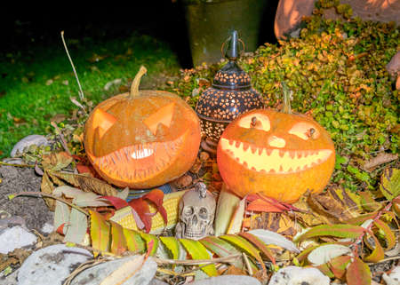 halloween composition with smiling pumpkins and halloween accessories, corn cobs, skull and lanterns, halloween in autumn, carved pumpkinの写真素材