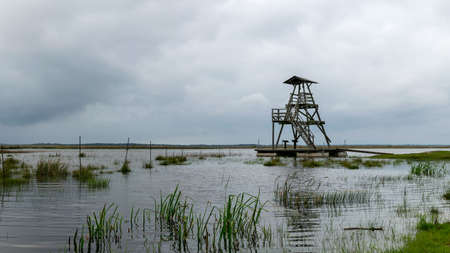 view of bird watching tower, cloudy day, gray clouds, landscape with lake and reeds by the lake, Engure Nature Park, Latviaの写真素材