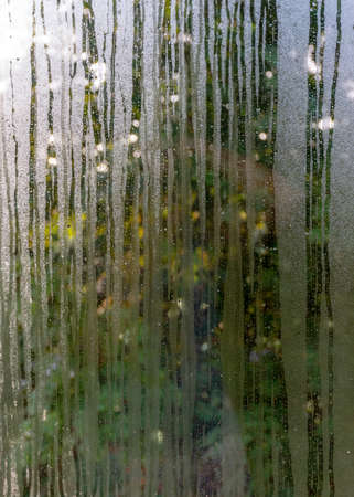 abstract photography with wet and sweaty window, raindrop texture, blurred tree outline in the backgroundの写真素材
