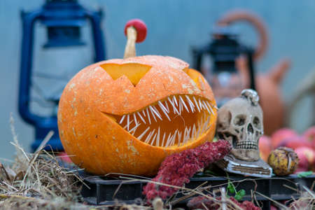 Halloween theme, carved pumpkin with a scary smile, spiders and cobwebs, skull, autumn dry leaves, grass background, decoration and holiday concept, carved pumpkin for a fun partyの写真素材