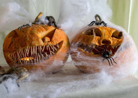 Halloween theme, carved pumpkin with a scary smile, spiders, white cobweb background, decoration and holiday concept, carved pumpkin for a fun party, Jack O's lanternの写真素材