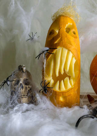 Halloween theme, carved pumpkin with a scary smile, spiders, skull, white spider web background, decoration and holiday concept, carved pumpkin for a fun party, Jack O's lanternの写真素材