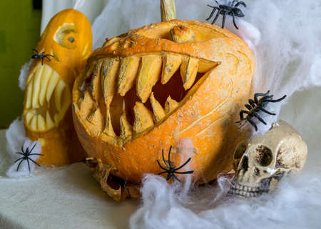 Halloween theme, carved pumpkin with a scary smile, spiders, skull, white spider web background, decoration and holiday concept, carved pumpkin for a fun party, Jack O's lanternの写真素材