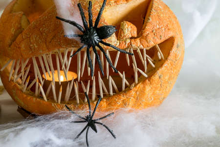 Halloween theme, carved pumpkin with a scary smile, spiders, white cobweb background, decoration and holiday concept, carved pumpkin for a fun party, Jack O's lanternの写真素材